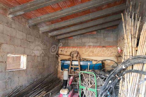 Landejendom i Almansa, Albacete, Almansa - € 125.000 | Ref: SF0553 - foto 10
